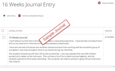 Sample Journal